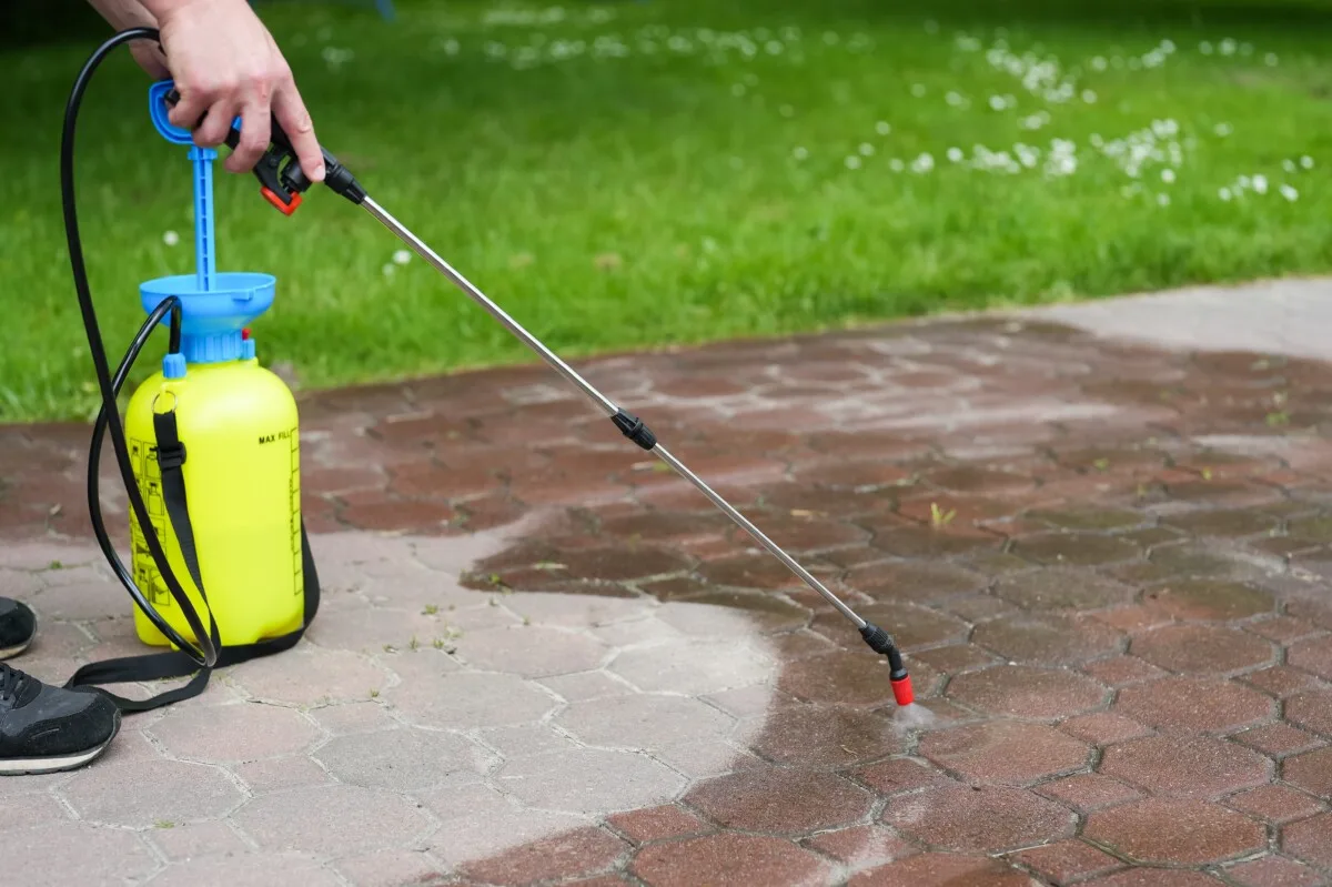 Pump sprayer used to spray horticultural vinegar on pavers.