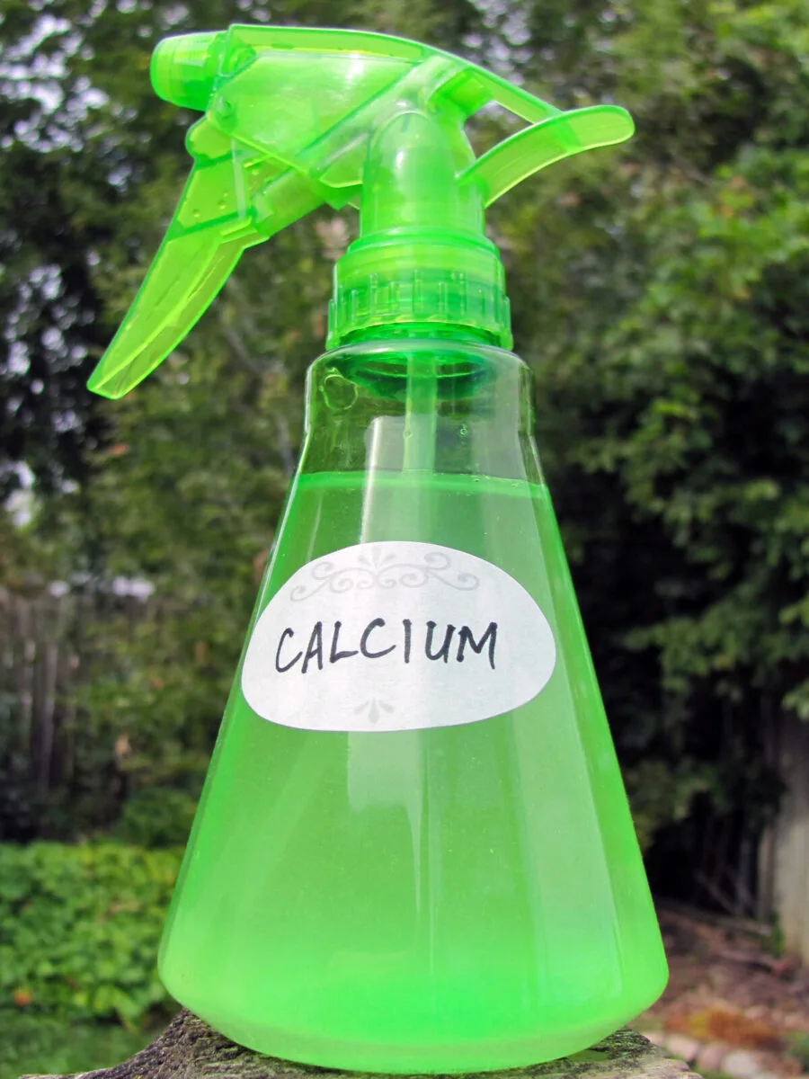 Bright green spray bottle filled with liquid calcium
