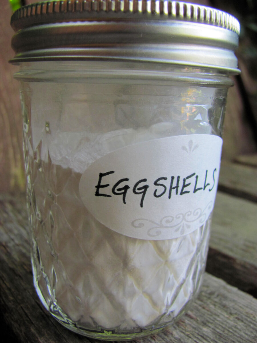 Jar of eggshell powder labeled eggshells