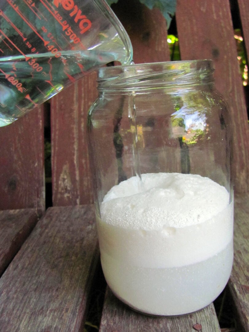 How to Make Liquid Eggshell Calcium Fertilizer