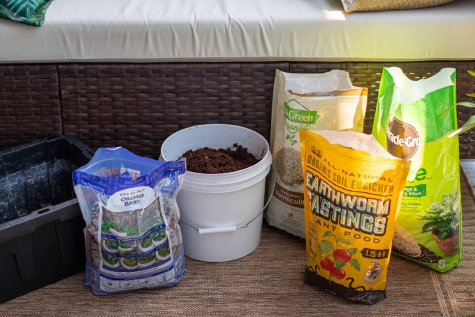 5 Ingredient African Violet Potting Mix for Your Biggest Blooms Yet