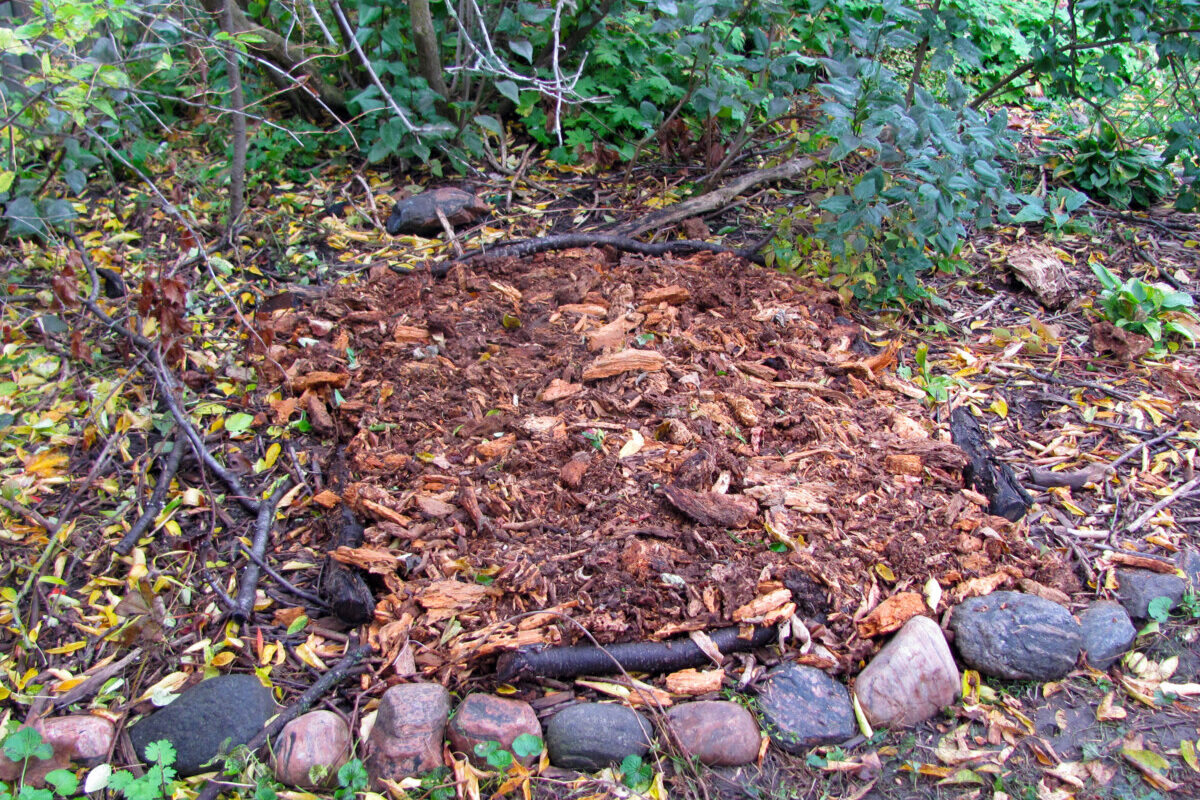 Stone rimmed bed of mulch to grow mushrooms
