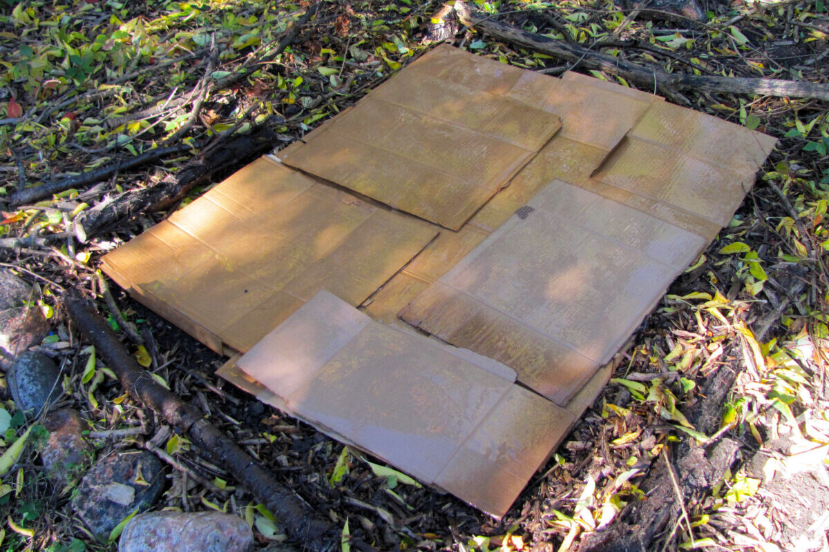 Wet flattened cardboard