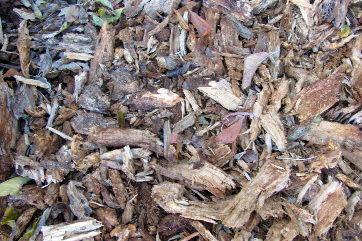 Close up of rough cut wood mulch