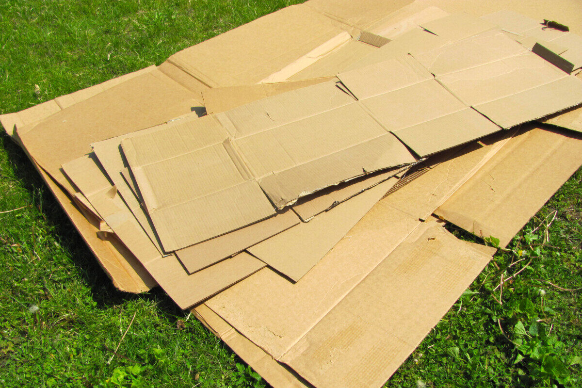 Flattened cardboard boxes