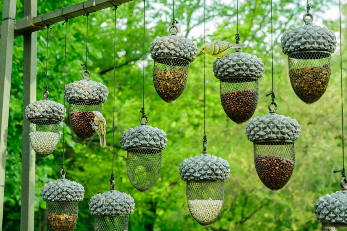 Bird feeders in the shape of acorns
