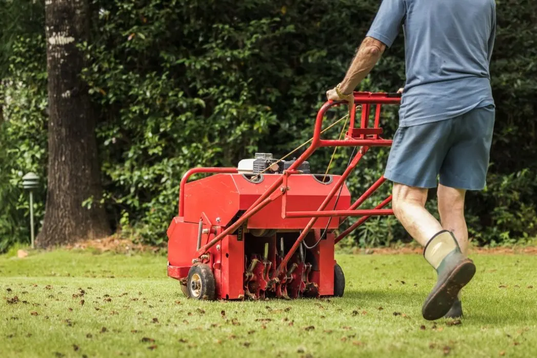 Man using an aerator to aerate lawn.