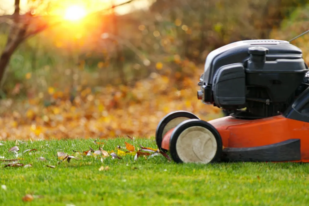 Lawn mower with autumnal background