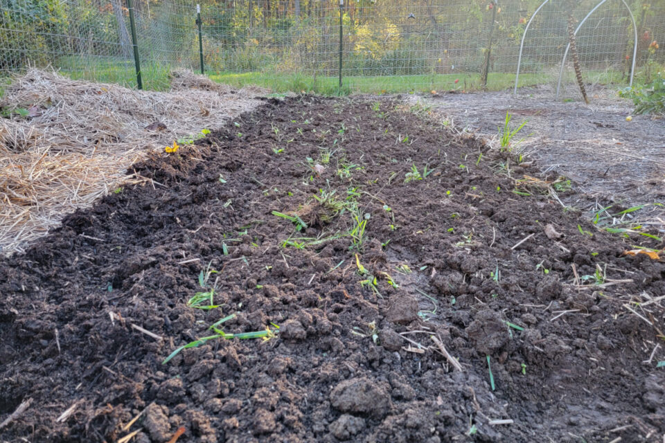 I Dig Fall Enough! We’re Tilling Our No-Dig Garden This Fall