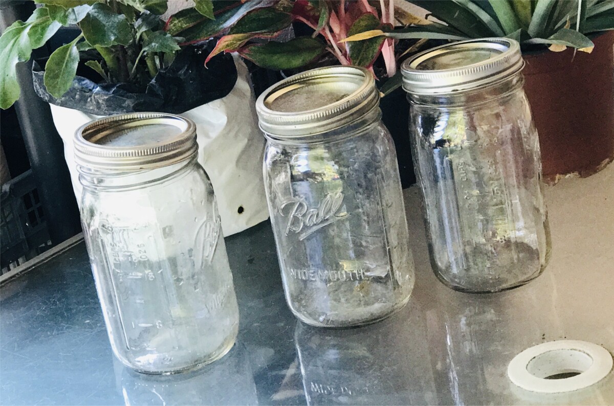 Three empty mason jars