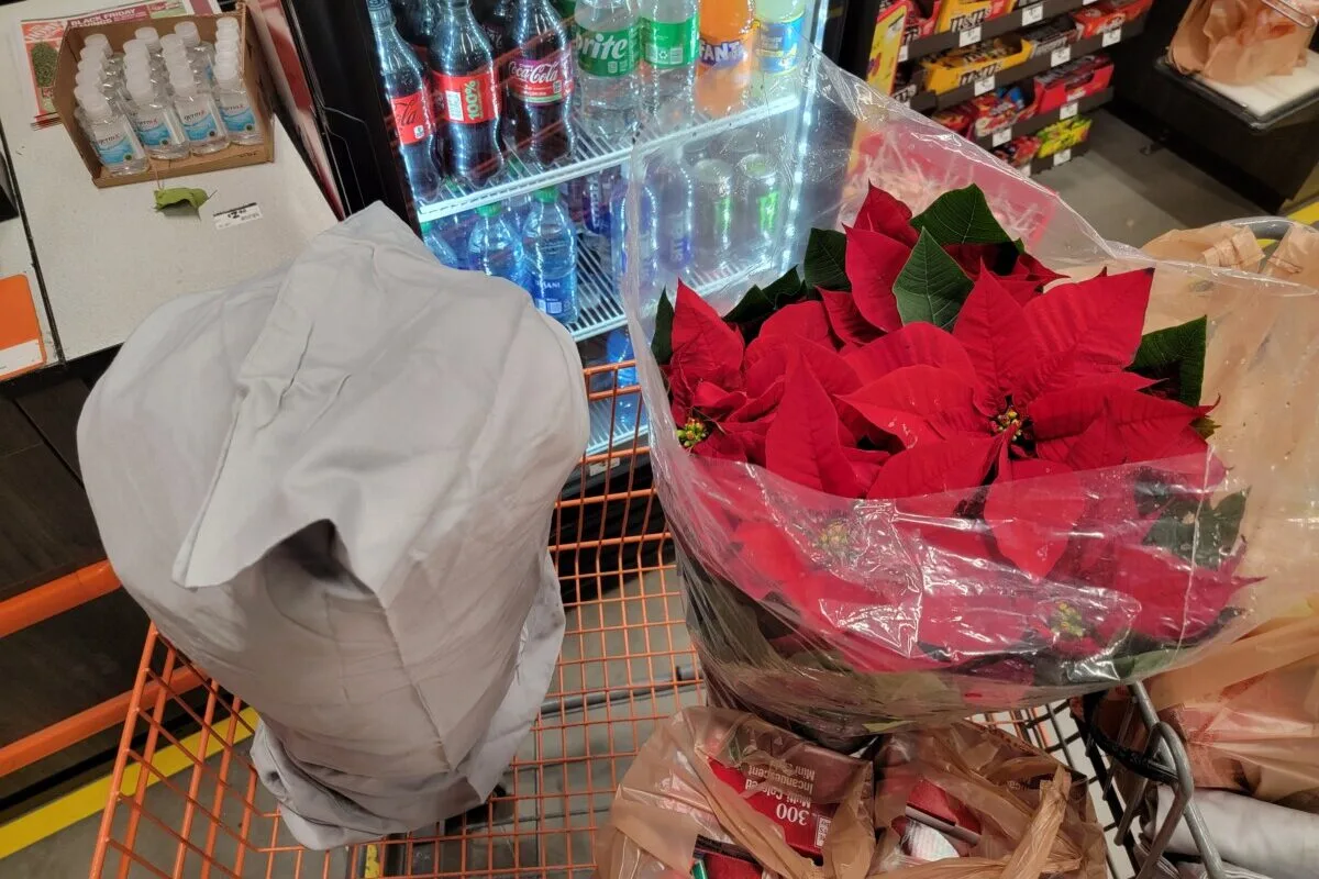 Poinsettia covered in a pillowcase sitting in shopping cart.