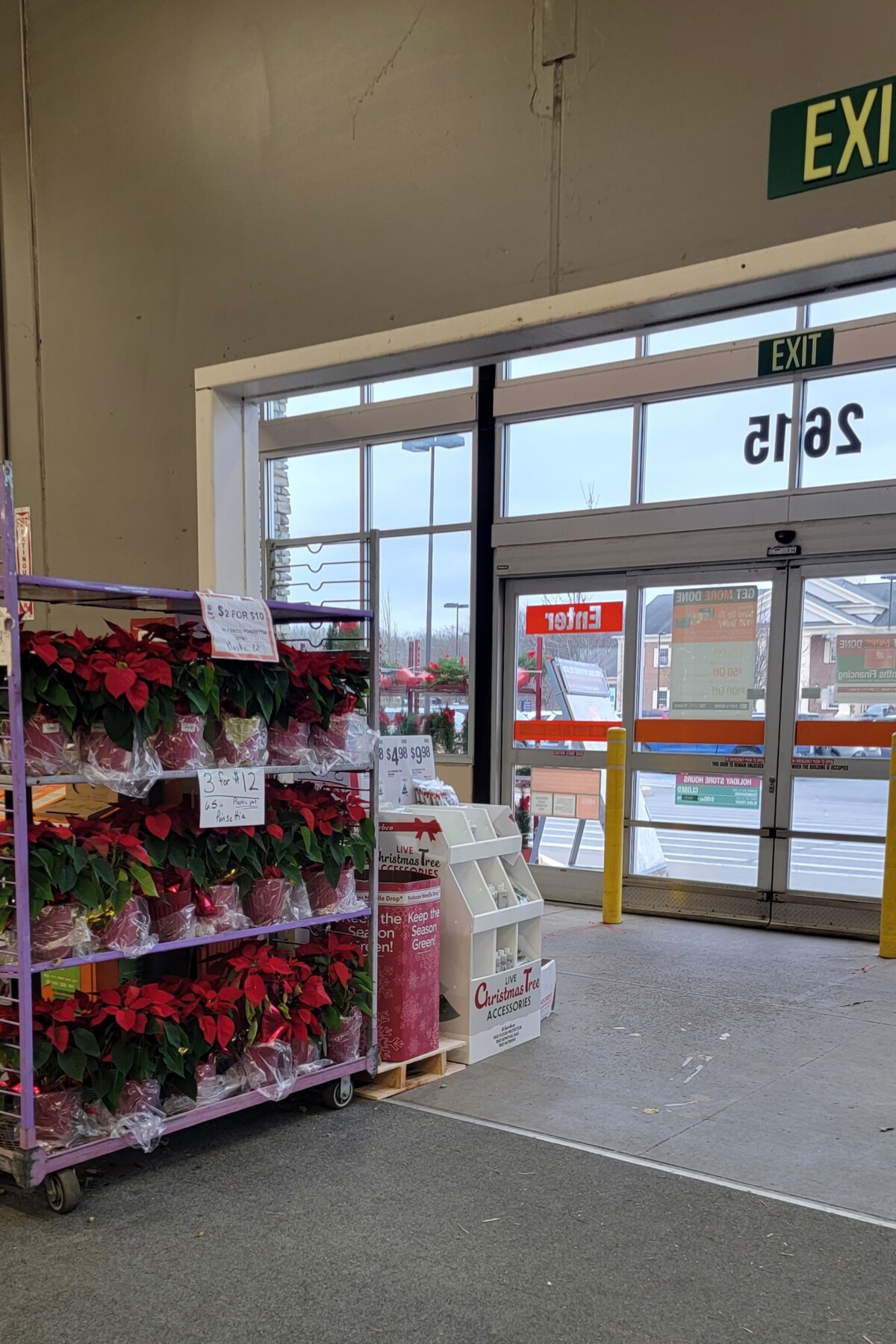 A display stand of poinsettias right next to the doors of a store.