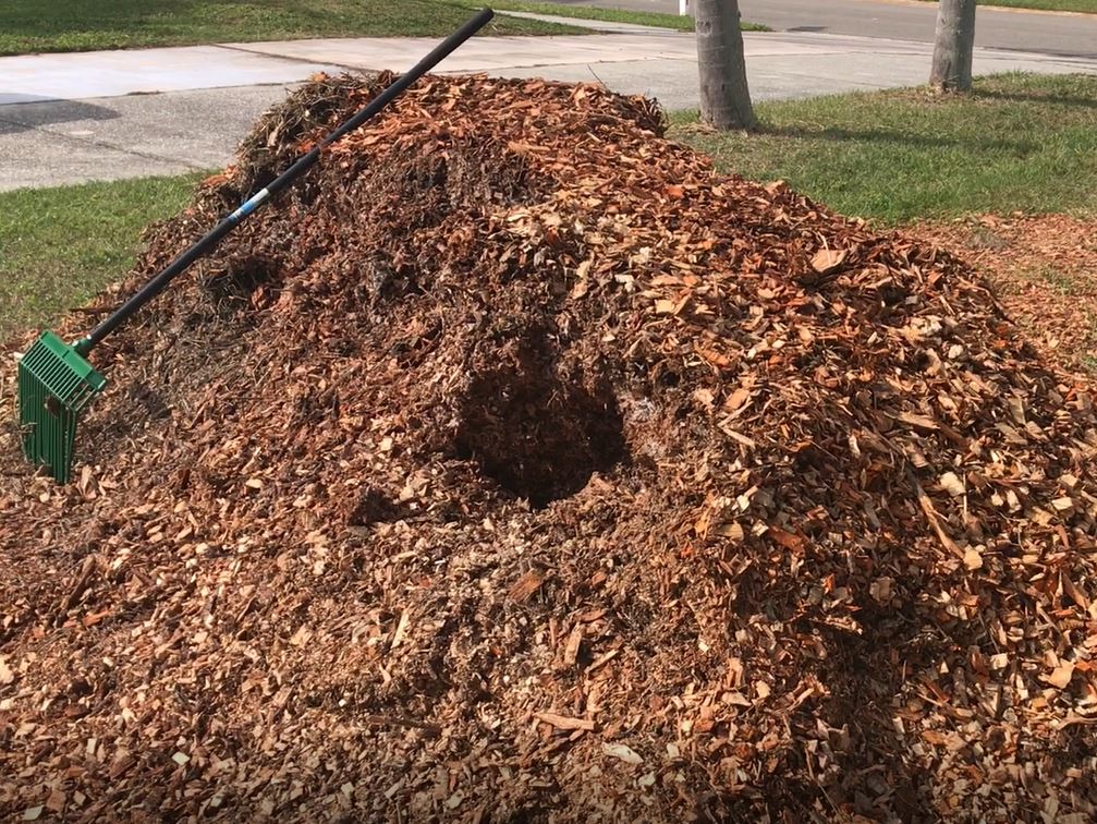 Huge pile of mulch clippings with a rake leaning on the pile