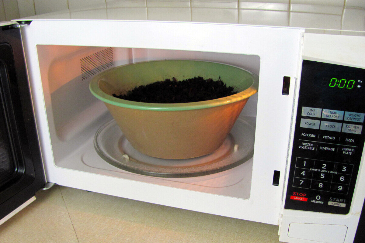 Bowl of leaf mold in microwave