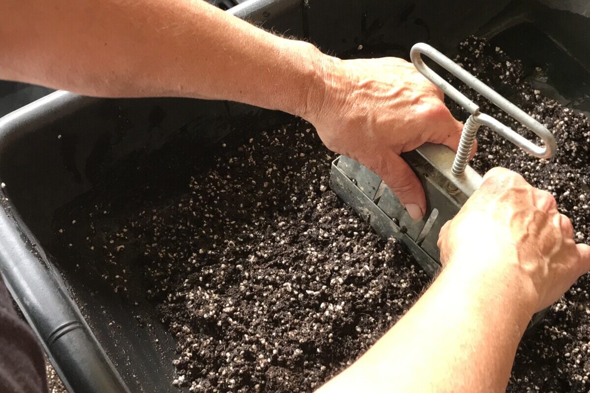 Woman's hands pressing soil blocker into soil