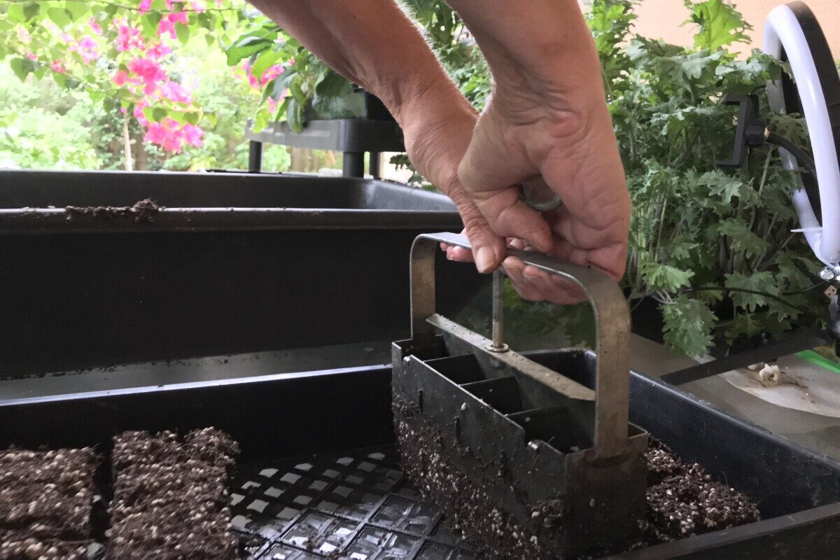 Woman's hands using a soil blocker to create soil blocks