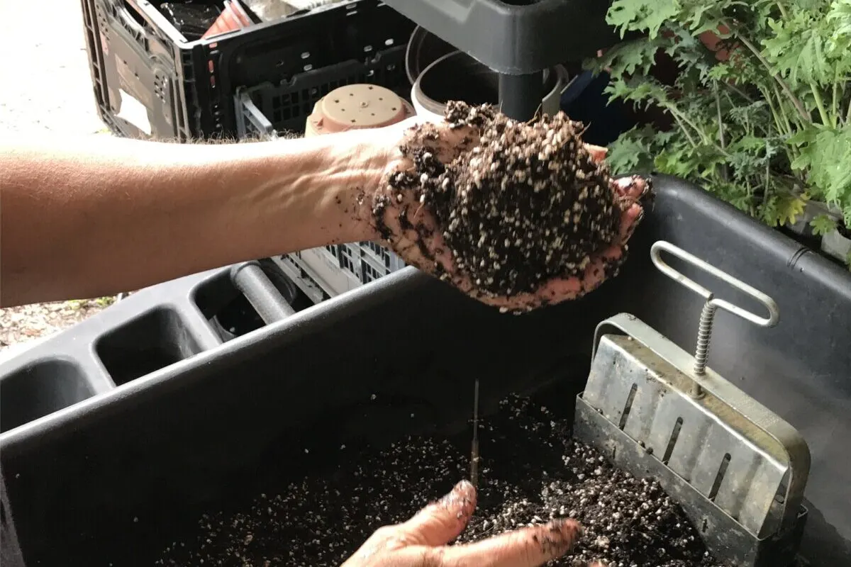 Hand holding ball of soil