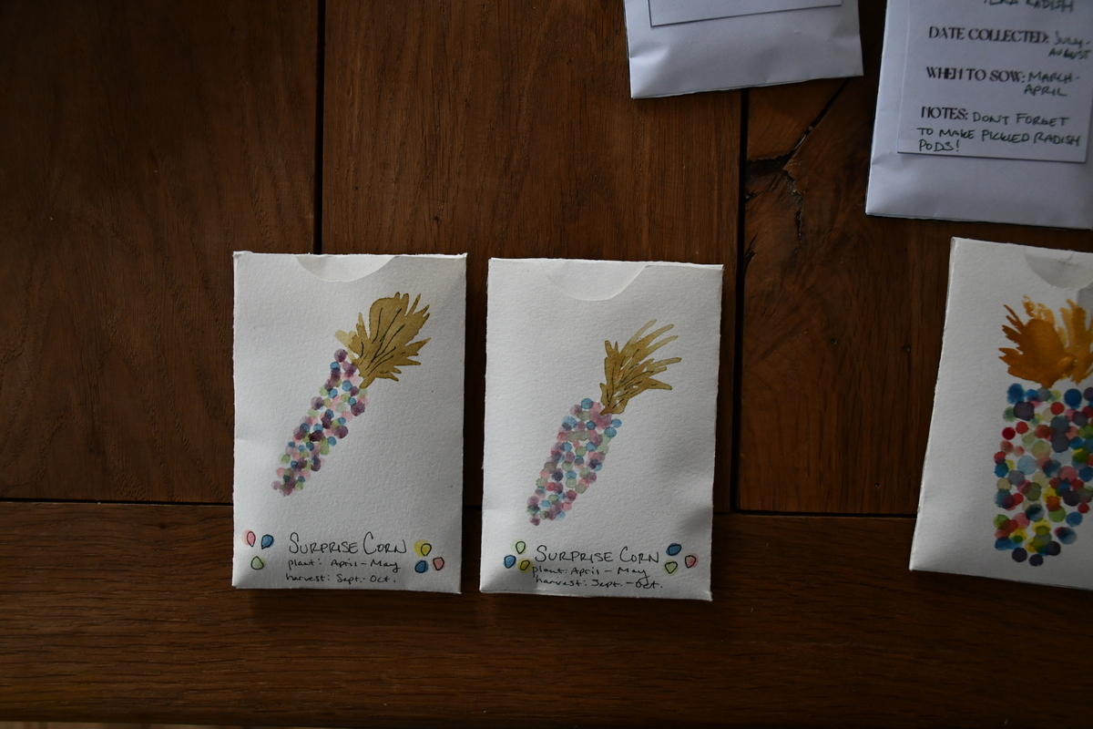 Handmade seed packets with watercolor ears of corn painted onto them.