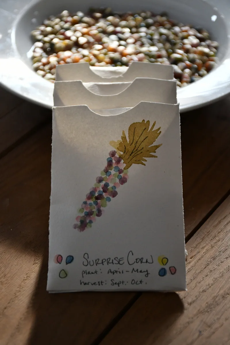 Handmade seed packets with watercolor illustrations.