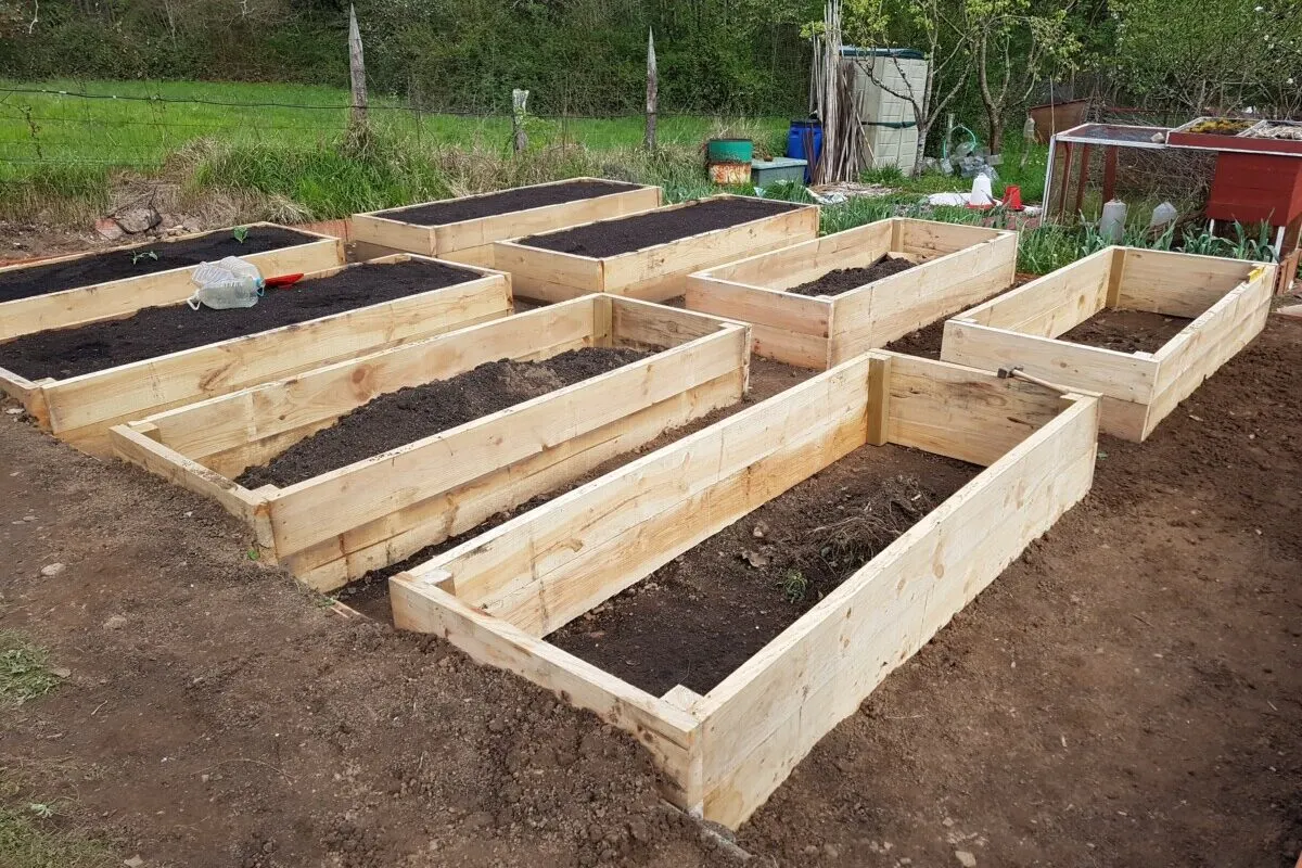 Newly built raised beds