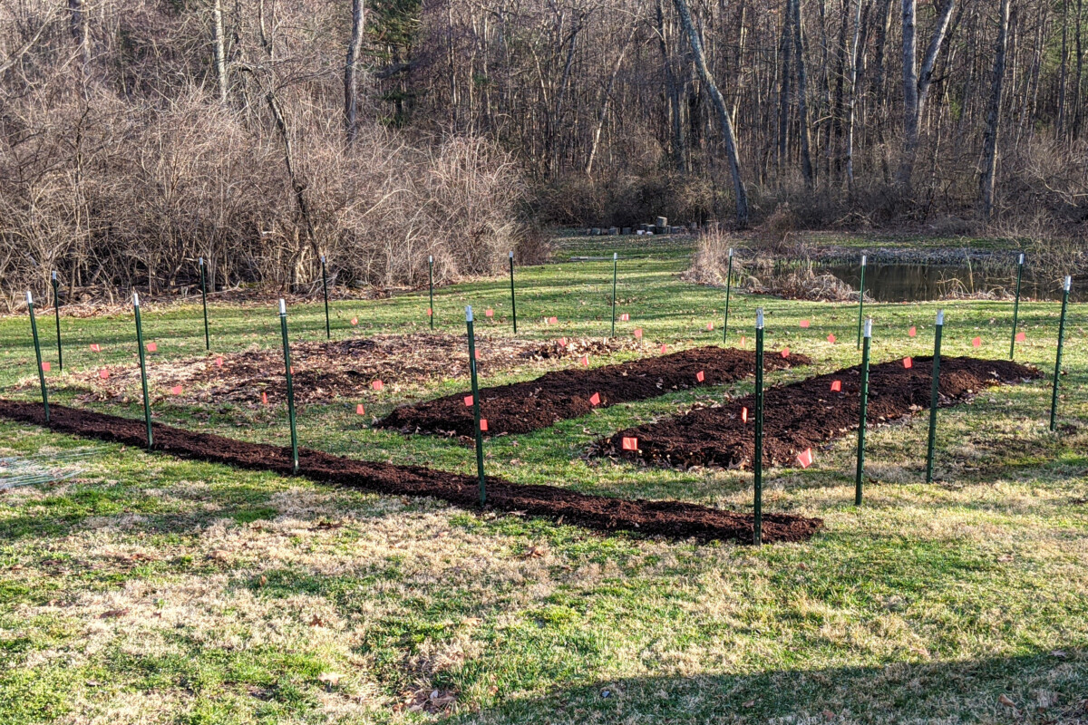 New no-dig garden