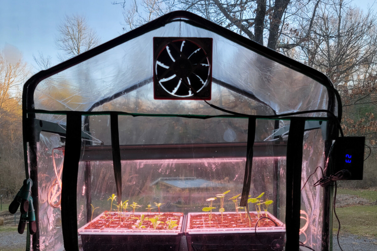 Exhaust fan set up in greenhouse