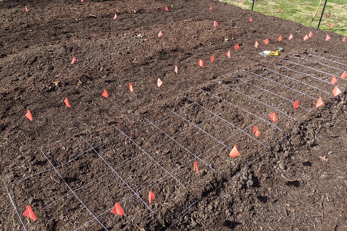 garden with flags and soil grids