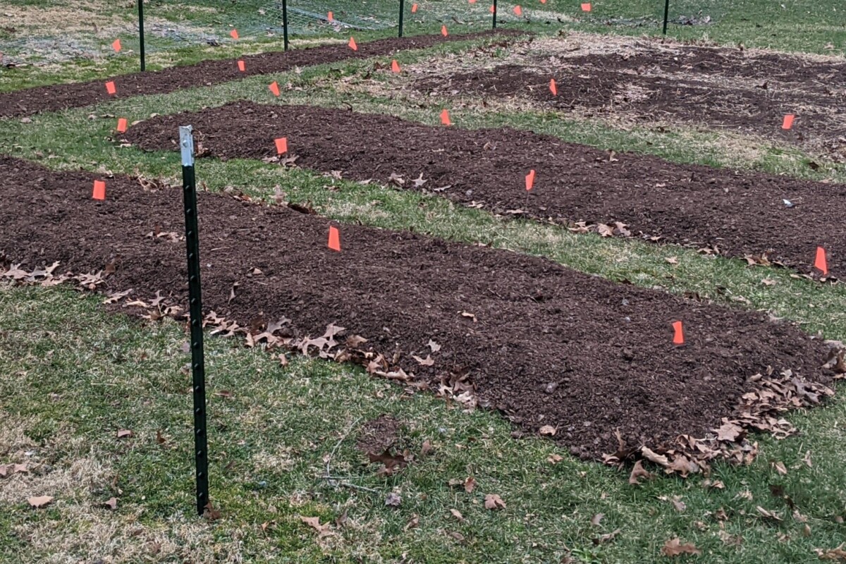 New no-dig garden beds