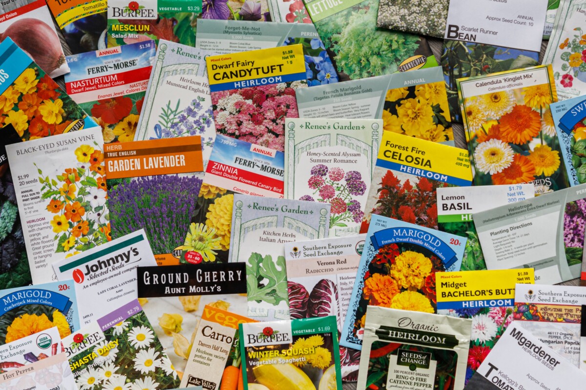 Lots of seed packets