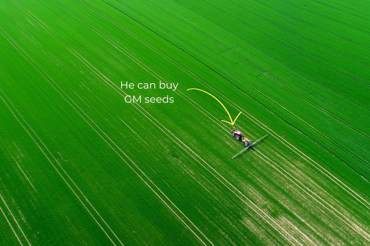 Aerial view of tractor spraying field, text reads, "He can buy GM seeds" with yellow arrow pointing to tractor