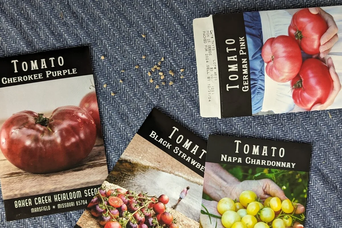 Tomato seed packets and seeds