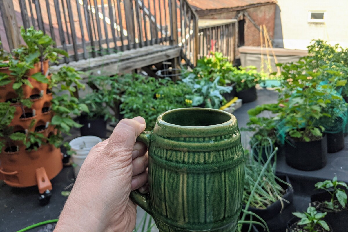Woman's hand holding up a coffee mug in front of a garden