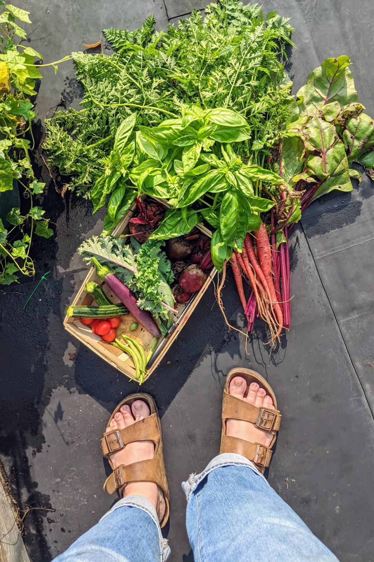 Basket of produce and woman's feet