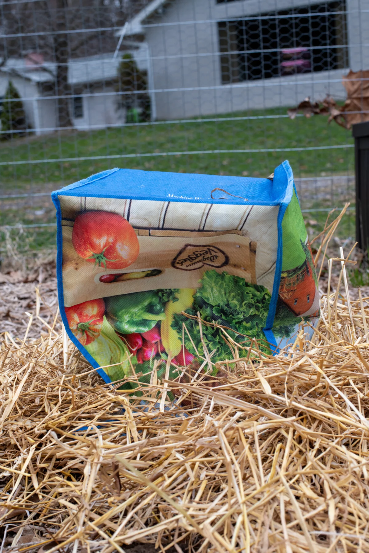 Reusable shopping bag being used as a cloche in the garden