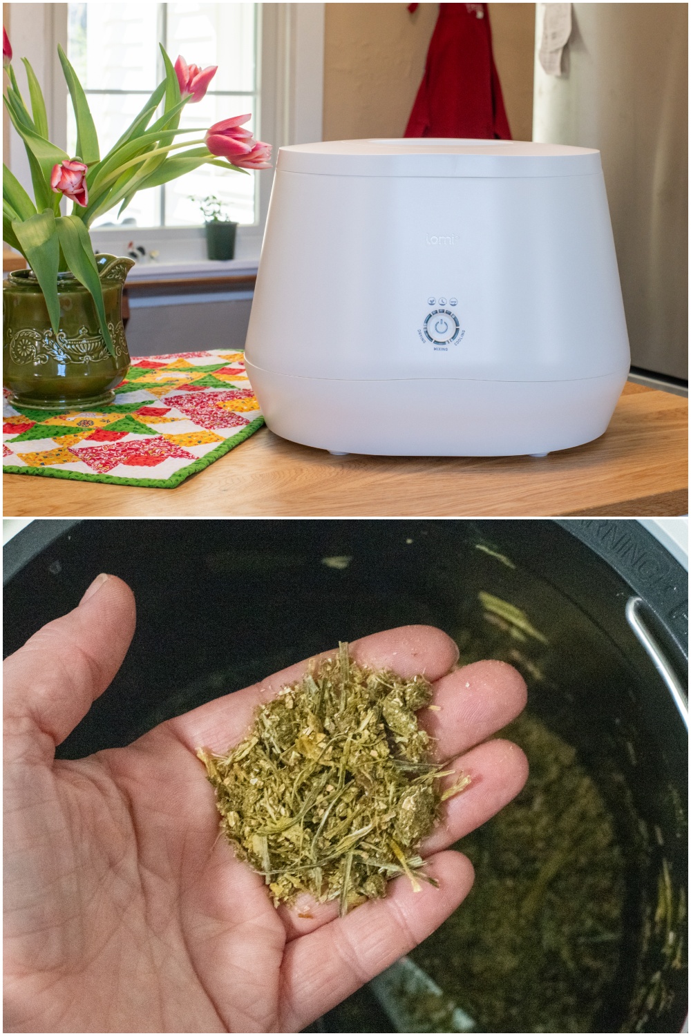 Compopster Recipe The Lomi Composter – I Tried It & This Is What I Really Thought