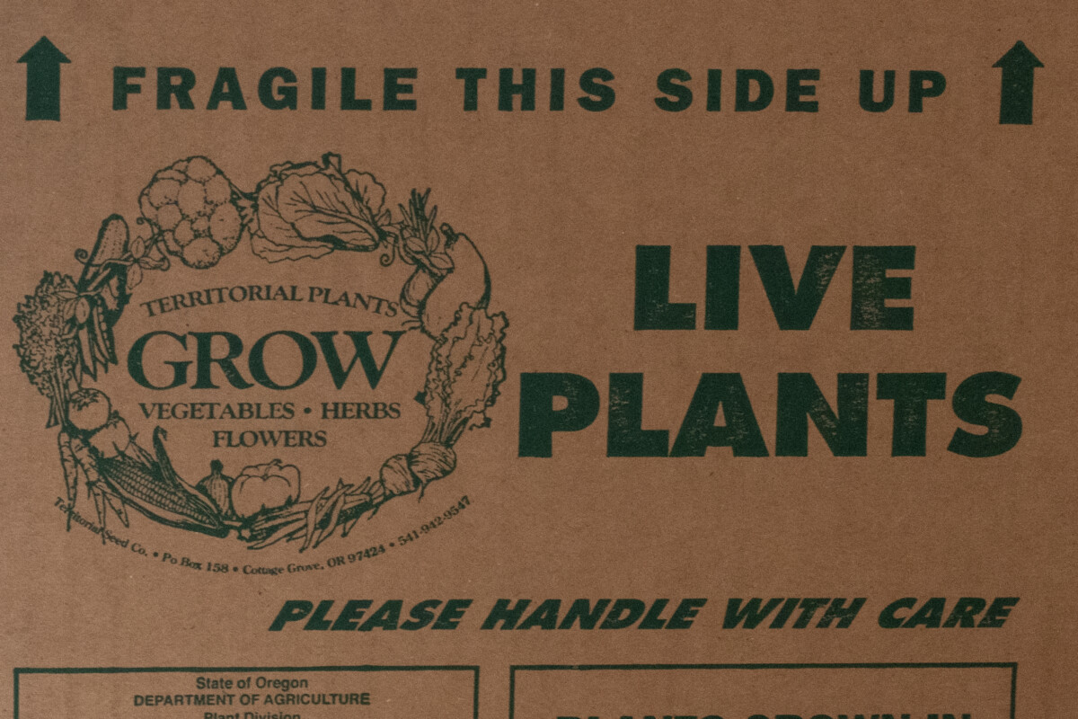 Side of cardboard box that reads live plants