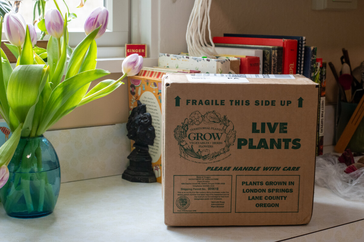 Box labeled live plants on a kitchen counter