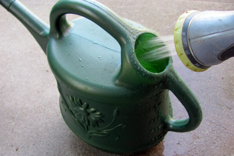 How to Use Urine as Plant Fertilizer