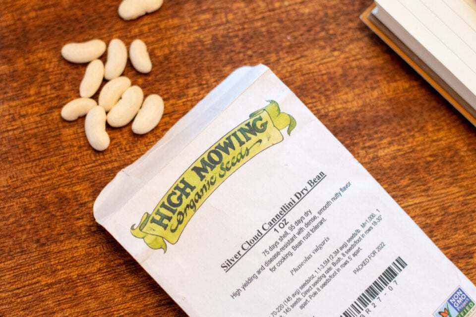 17 Free Seed & Plant Catalogs Every Gardener Should Know About