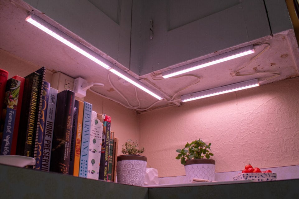 I Put Grow Lights Under My Kitchen Cabinets & Now I Can Grow Anything