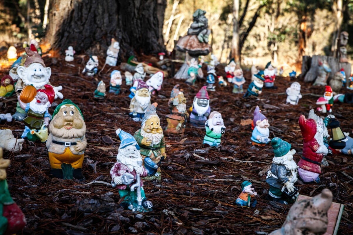 Garden gnome cemetery