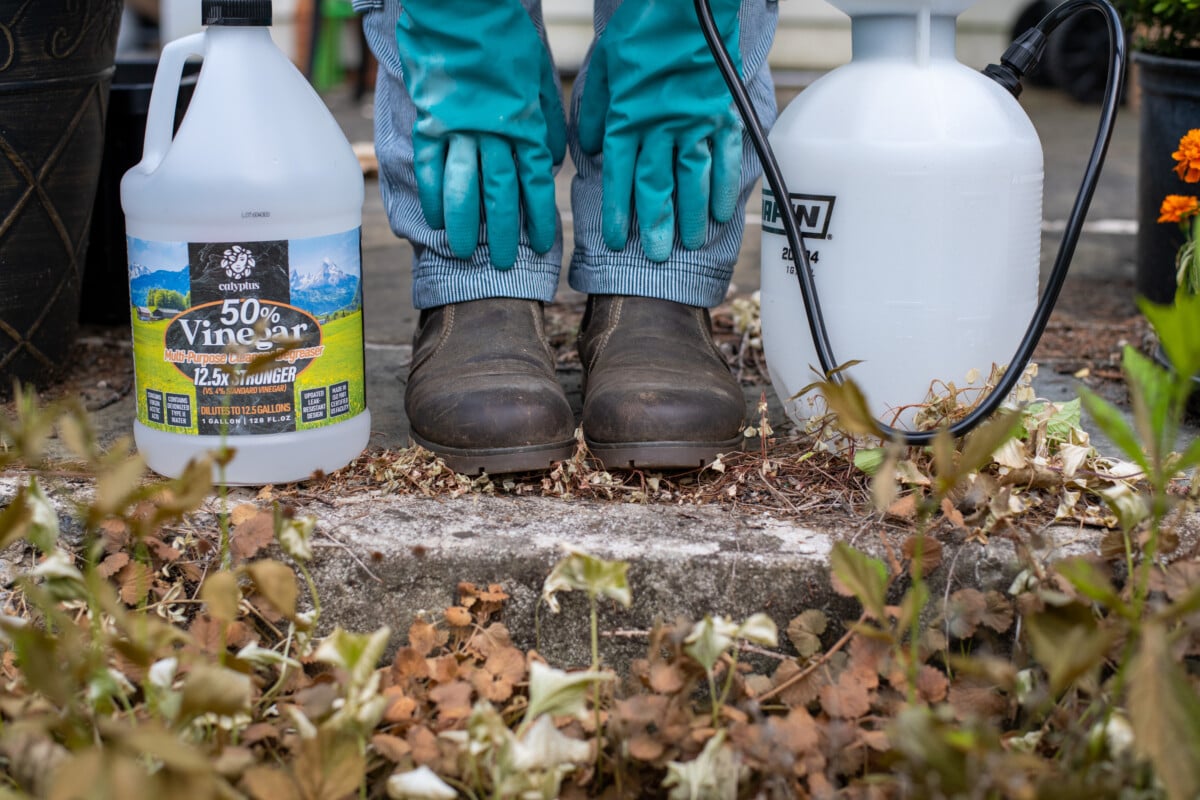 PPE needed for spraying horticultural vinegar