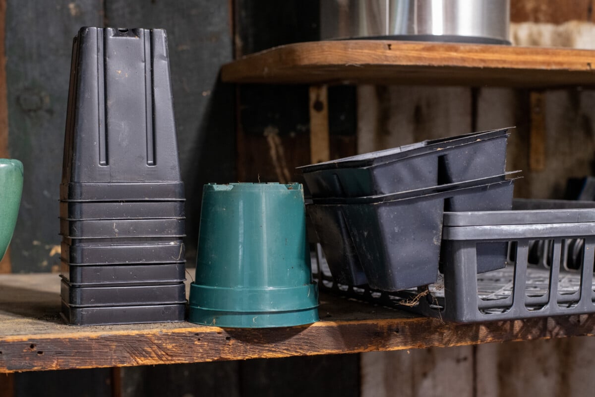 Unwashed seedling pots and trays on a shelf in a garden shed