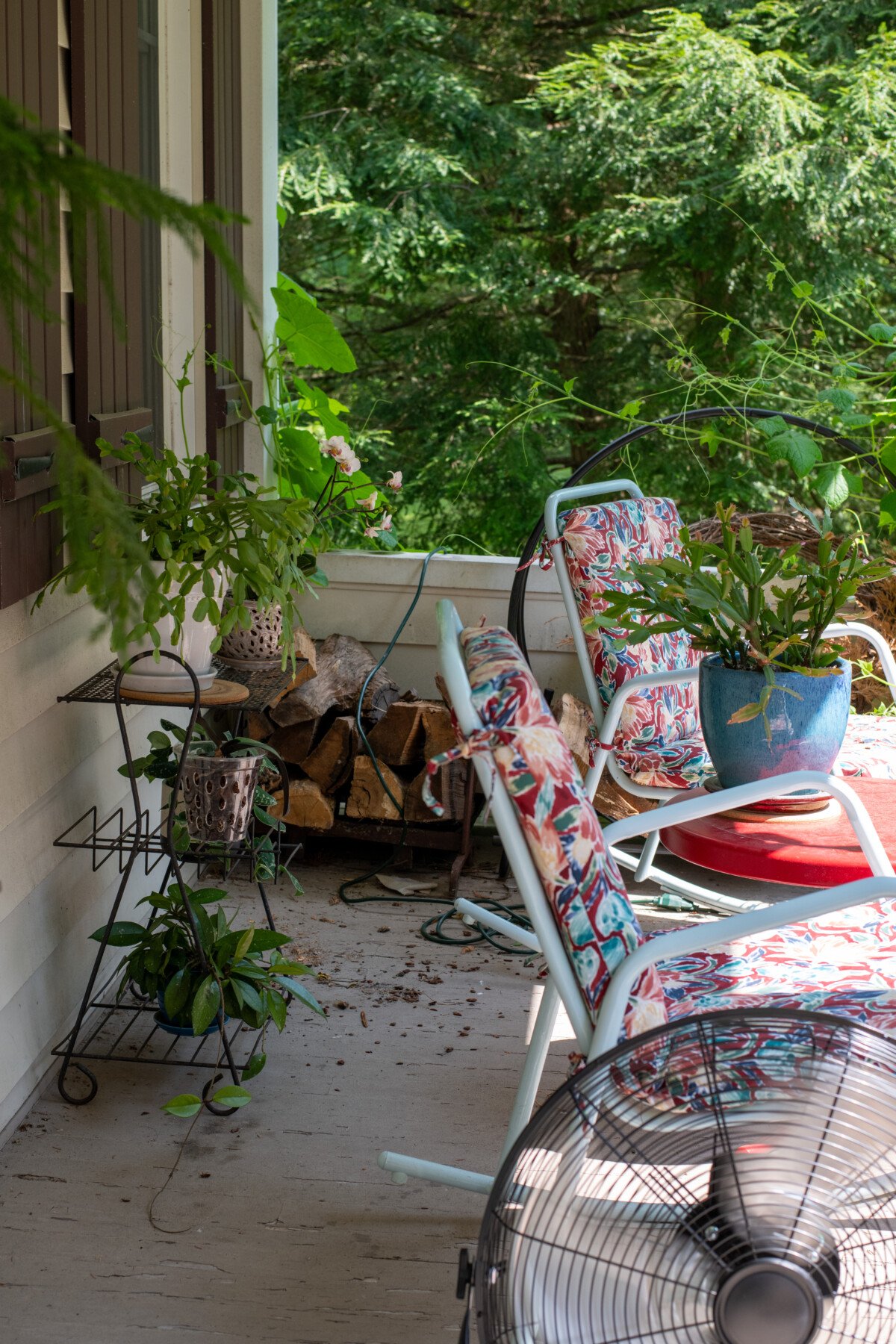 Shady summer porch