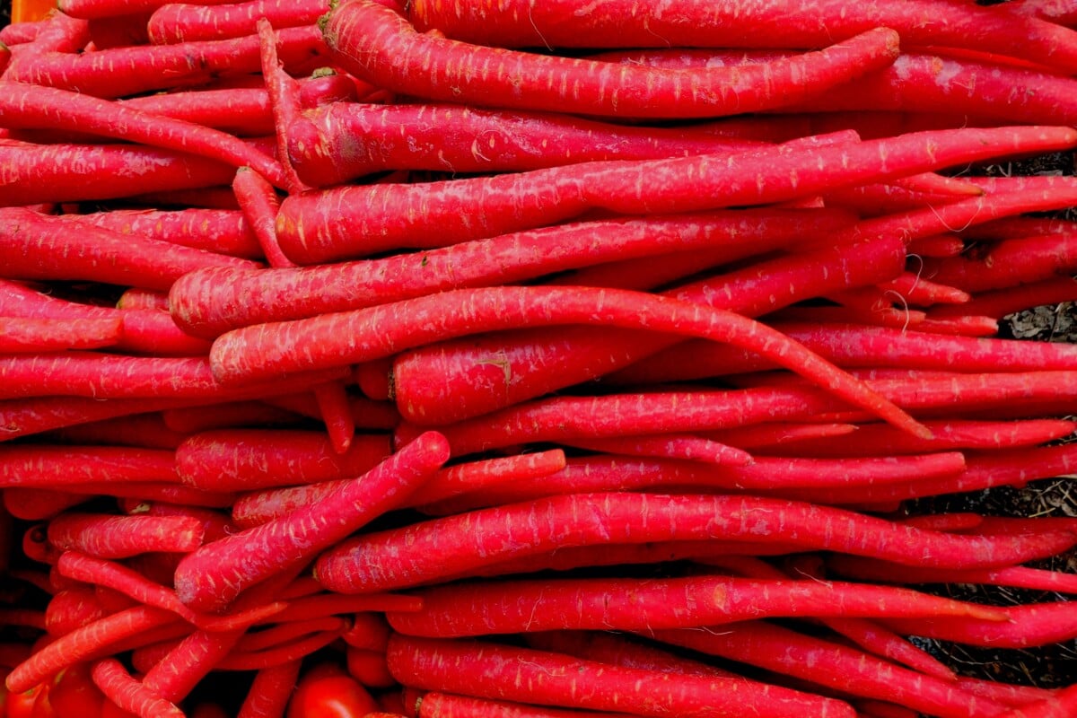 kyoto red carrots