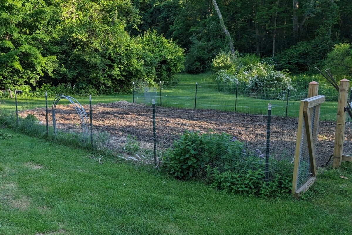 Empty home garden.