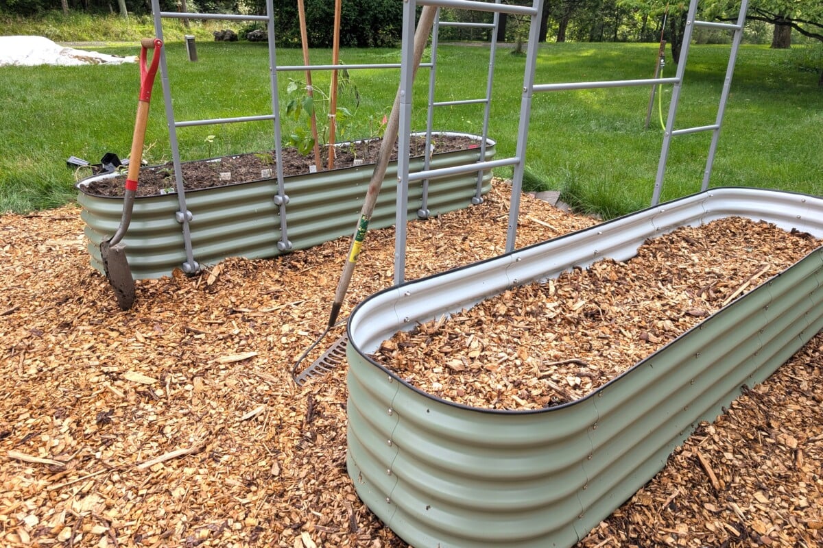 Two raised beds set up