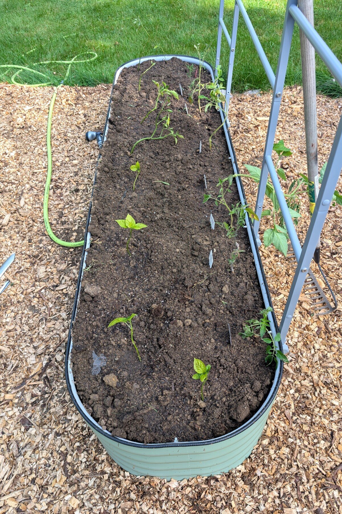 Planted raised bed