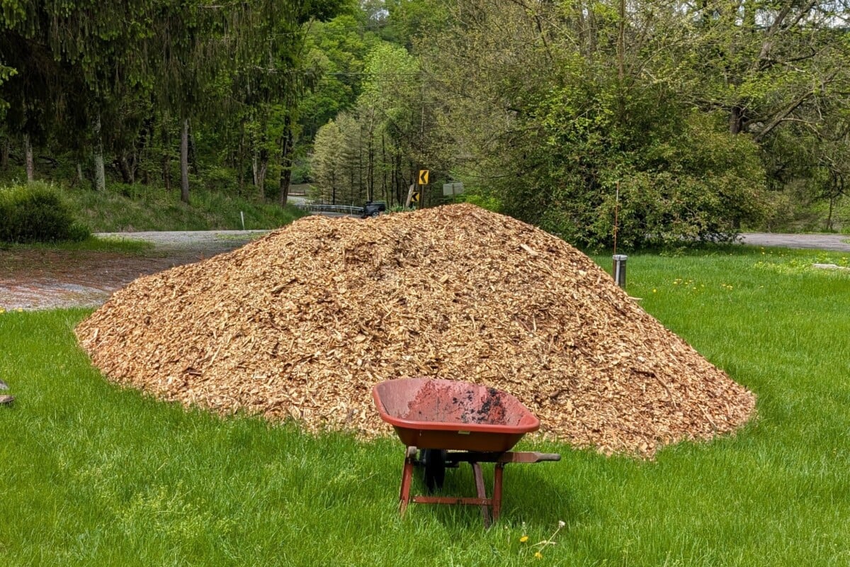 large pile of wood chips