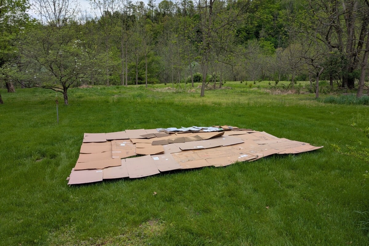 Cardboard boxes laid out on grass.